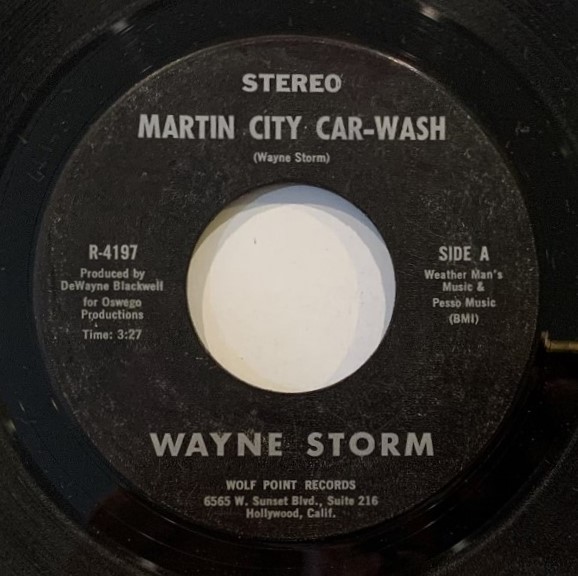 Wayne Storm